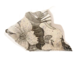 Кавалак паперы